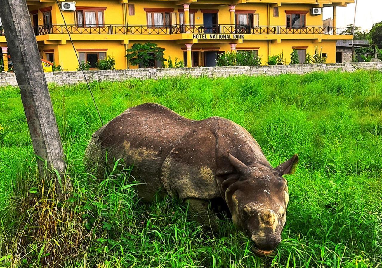Hotel National Park Sauraha- Homely Stay And Peaceful Location With Jungle Safari Arrangements Luaran gambar