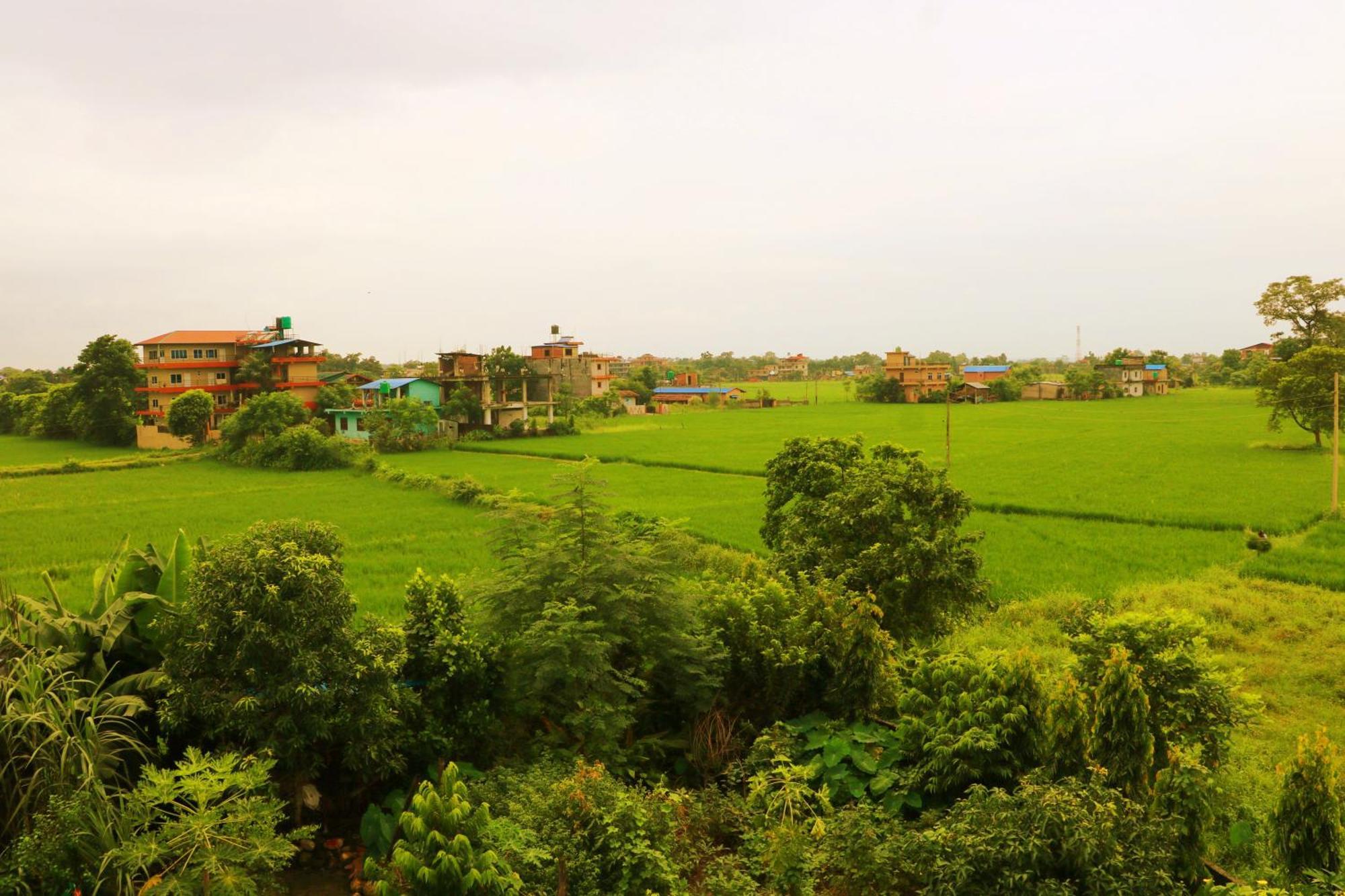 Hotel National Park Sauraha- Homely Stay And Peaceful Location With Jungle Safari Arrangements Luaran gambar