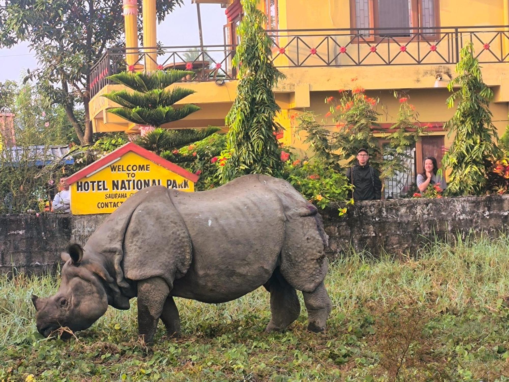 Hotel National Park Sauraha- Homely Stay And Peaceful Location With Jungle Safari Arrangements Luaran gambar